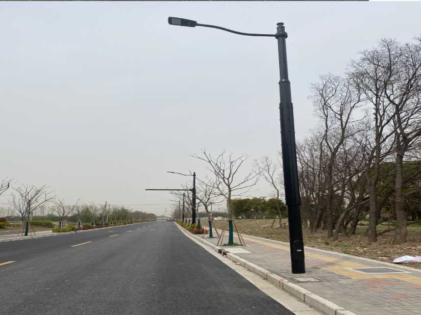 汤旺县上海综合杆 太阳能路灯工程